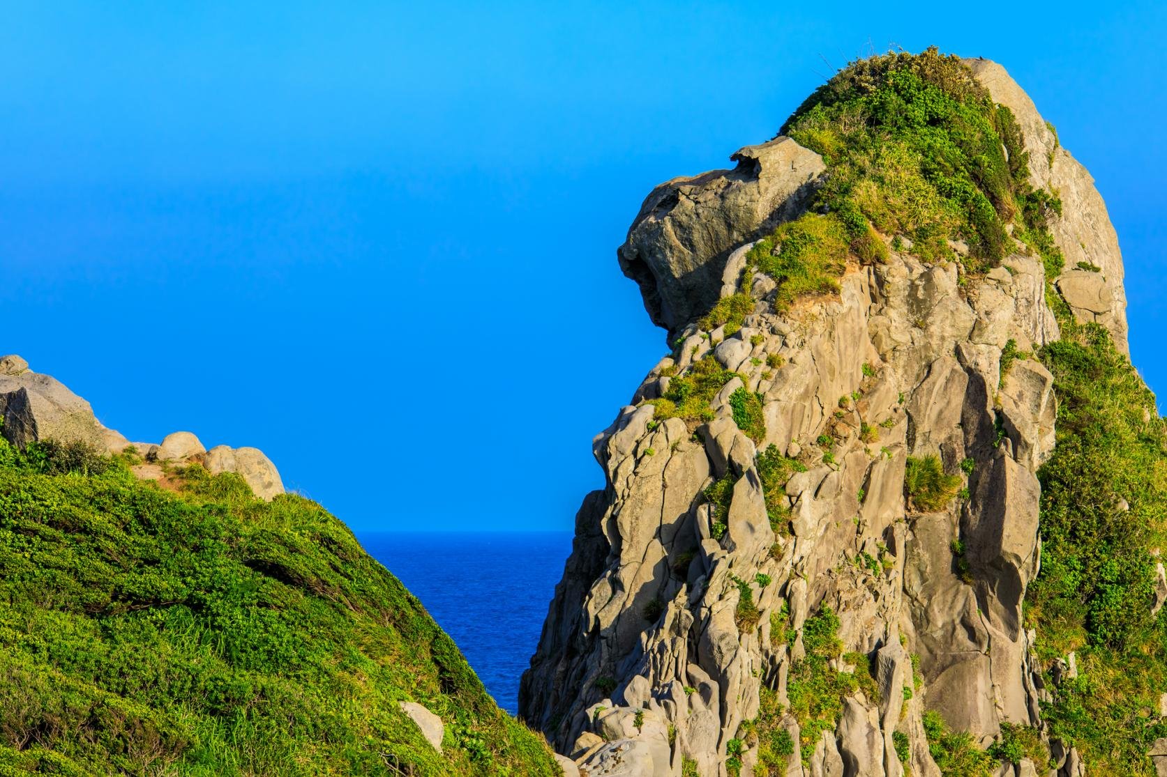 🐵 원숭이 바위(사루이와)